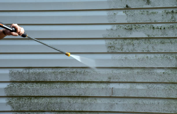 Best Driveway Cleaning and Restoration in Durham, NC